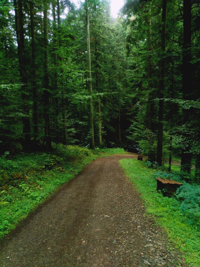 Domek Na Gorce Bieszczady Леско Екстериор снимка